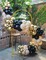125-Piece Black, Gold & White Balloon Arch Garland Kit – Graduation, Birthday & Wedding Party Decoration Set with Star Foil Balloons